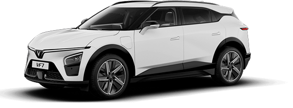 VF7 Brahminy White
