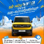 Phụ Kiện VinFast VF3: 15+ Must-Have 2025 (Combo & Checklist)