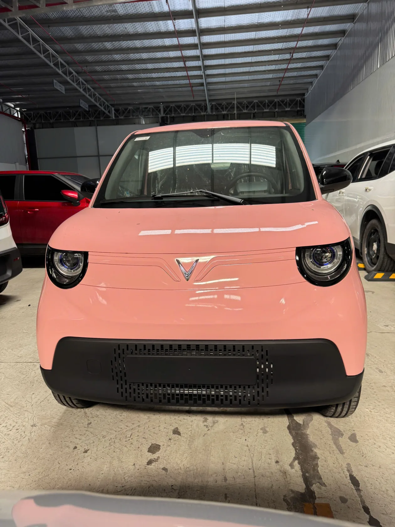 vf2 mau hong vinfast hcmc 4 Hình Ảnh VinFast VF 2 Màu Hồng
